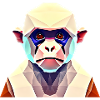 Polygon monkey