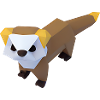 Polygon ferret