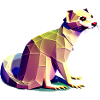Polygon ferret