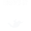 Skydiving, Skydiver