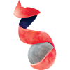 Lunar Fruit