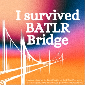 I survived BATLR Bridge
