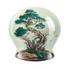 Bonsai Tree Terrarium