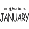 Due In January