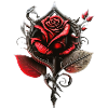Red rose