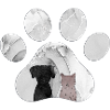 marble cat dog paw