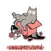Unsupervised Cat
