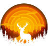 Deer shadow