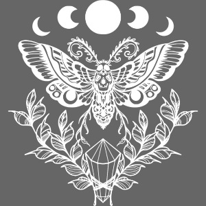 Lunar Moth Cycle
