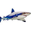shark