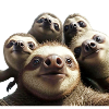 Selfy