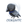 CROW / RAVENS: Raven Lunatic