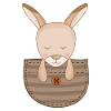 Cute Kangaroo Pouch Kangaroo