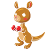 Cute Kangaroo Boxes Kangaroos