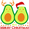 Avo Merry Christmas