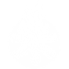 BONFIRE WHITE
