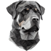 Polygonal rottweiler