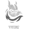 Silver Viking The Power