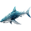 shark