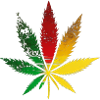 Rainbow maple