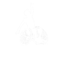 Figure Skating Wheelchair