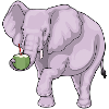 Elephant Coconut