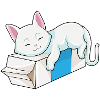 Cat With Milk