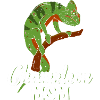 Chameleon Mom