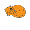 Funny Cat
