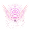 Sakura 01