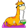 Giraffe With Coconut