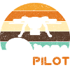 Drone Pilot