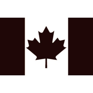 Military canadian flag