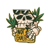 Up in Smoke