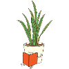 Indoor Plant
