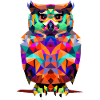 Polygon owl