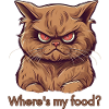 Grumpy Cat