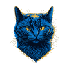 British Blue cat