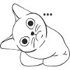 FUNNY CAT