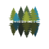 Forest Pine Trees