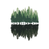 Forest Pine Trees