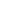 Forest Pine Tree