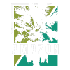 AMAZON WELCOME TO JUNGLE