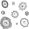 Single Cell Paramecium