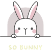 So Bunny So Funny