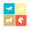 Der 1 1
