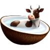 Cow in coconut