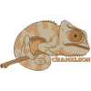 Chameleon