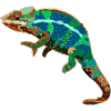 Chameleon