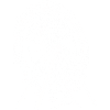 Ferris Wheel Ride